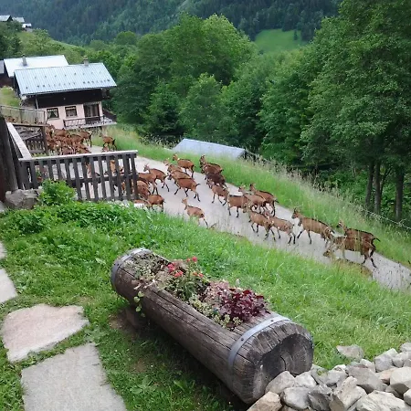 Le Refuge Des Marmottes شاليه Arêches